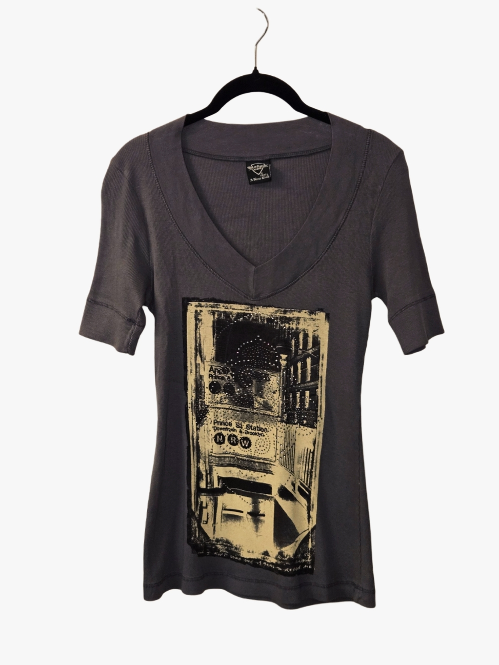Vintage Y2k Sledge Gray Graphic V-Neck Baby Tee!